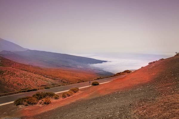Mar de Nubes. Parque Nacional del Teide, Tenerife