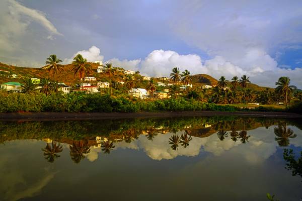 Stunning reflections in the pond, Royal St Kitts Golf Course