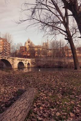 Puentecillas. Palencia