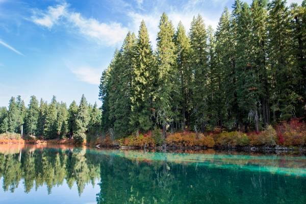 Fall color Clear Lake, Oregon (Linn County)