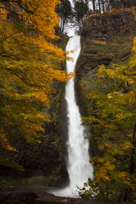 Horsetail Falls, Oregon,  in autumn