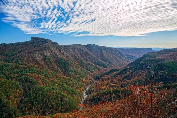 Linville Gorge From Wiseman's View