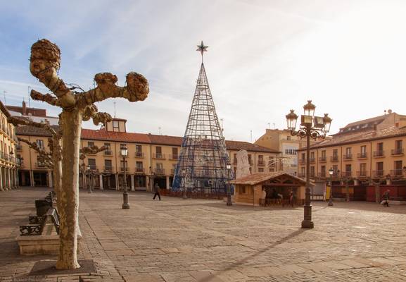 "Navidad en Palencia"