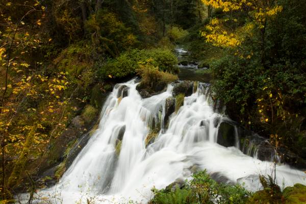 Beaver Creek Falls, Oregon
