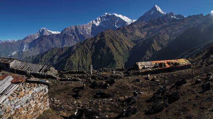 Khopra Danda Panorama