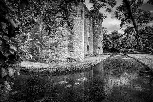 The Moat at Nunny Castle