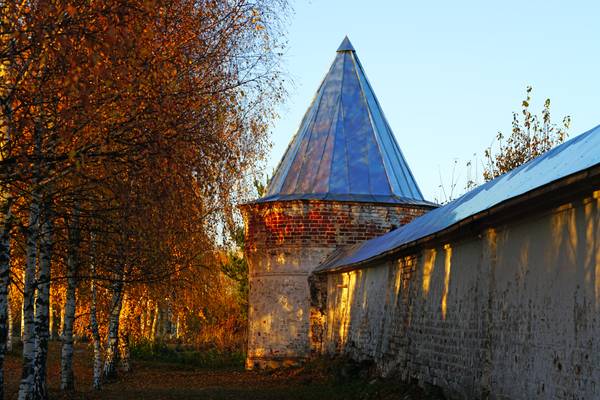 Birch trees along the monastery wall, Mozhaysk, Russia