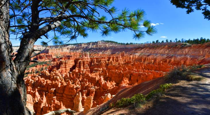 Sunset Point Bryce Canyon NP Utah