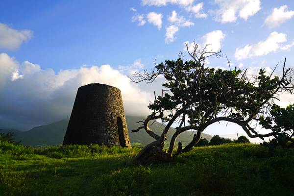 Old tower & crooked tree with Mount Liamuiga in the background, St Kitts