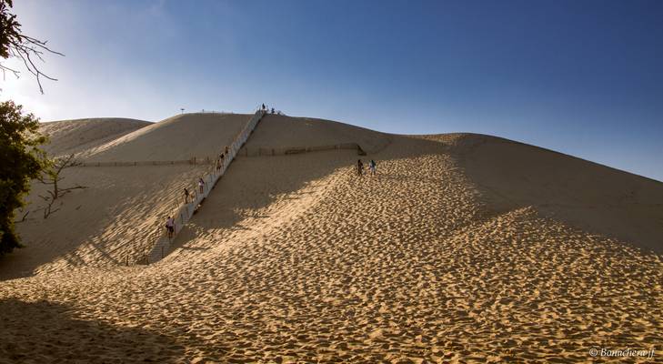 La Dune du Pilat: l'arrivée