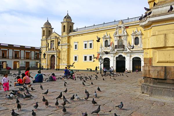 Pigeons of Convento de San Francisco, Lima