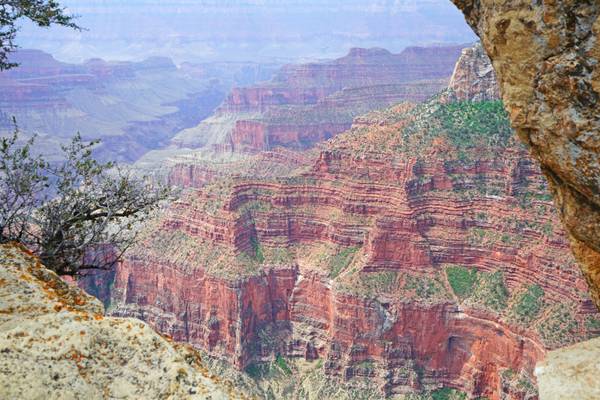 Red rocks of Grand Canyon, North Rim, Arizona