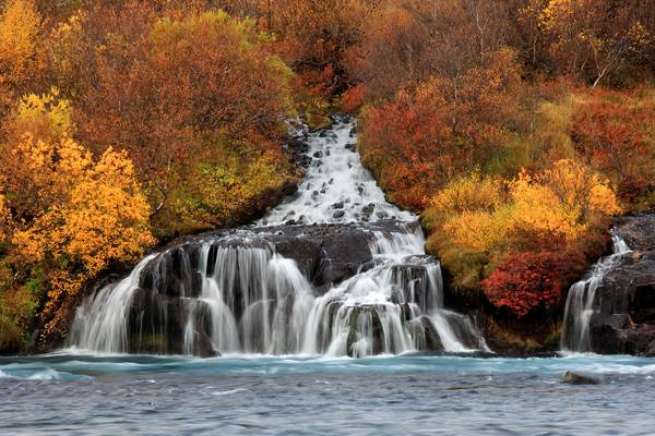 Hraunfossar waterfalls in autumn colors, Iceland