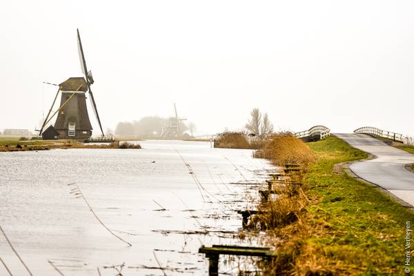Windmills in foggy afternoon - The Netherlands