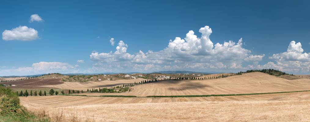 Crete Senesi Panorama