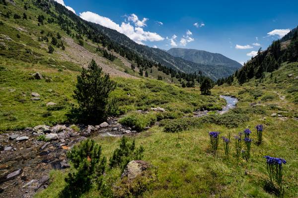 Rialb Valley, Pyrenees, Andorra