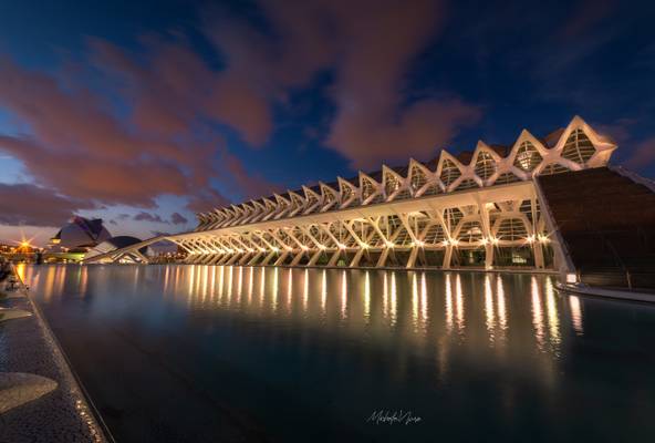 Ciudad de las artes y ciencias