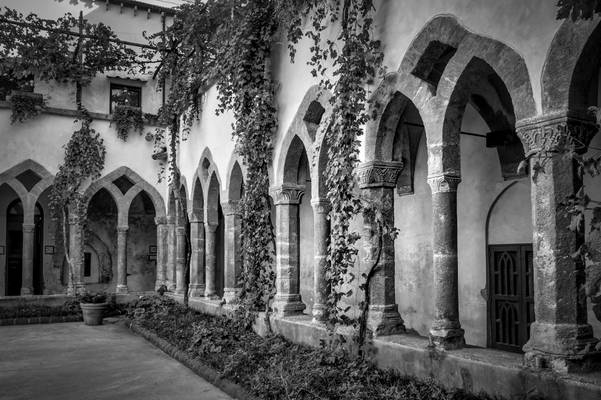 Ivy around the Cloisters at Convento di San Fransesco