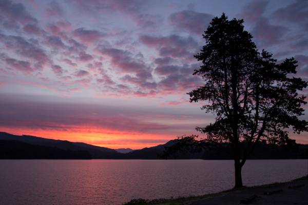 Sunrise Foster Lake, Oregon