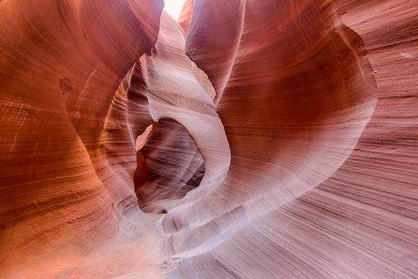 He is richest who is content with the least, for content is the wealth of nature…