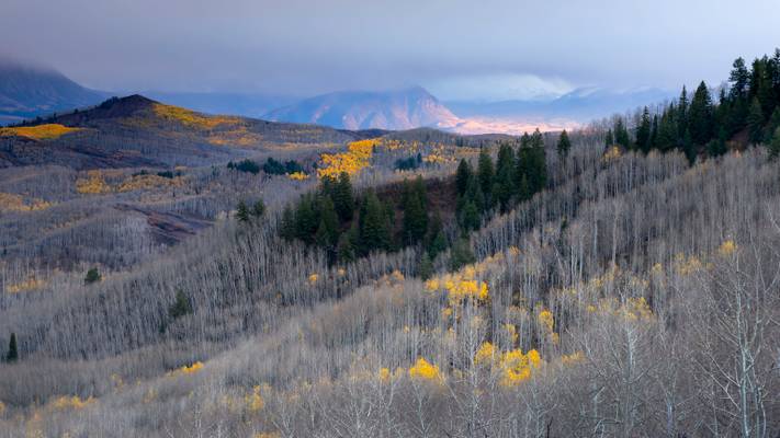 I really believe there are things nobody would see if I didn't photograph them…