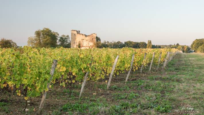 Chateau "La Tour"