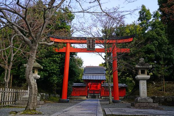 Red torii of Tenryuji Temple, Kyoto