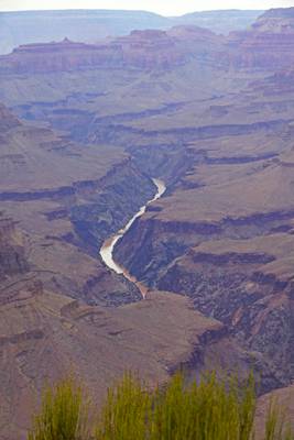 Colorado River From Pima Point, Grand Canyon