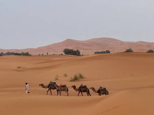 Morocco Desert