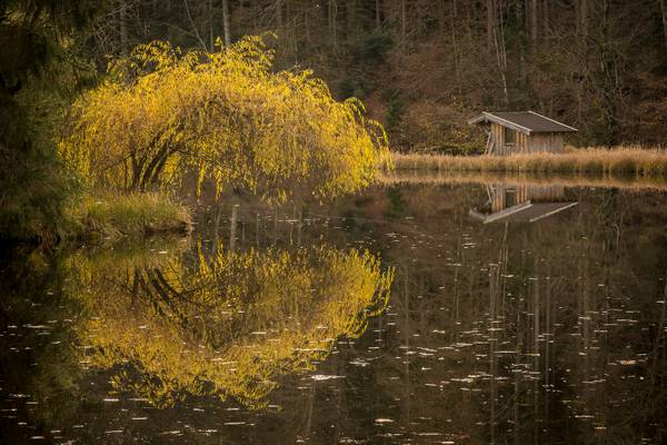 November light