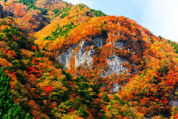 Konosekyo Gorge 20141108