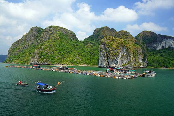 Fishing in Lan Ha Bay, Vietnam