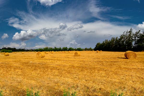 Paphos landscapes, Ayapinoros, Paphos - Cyprus.