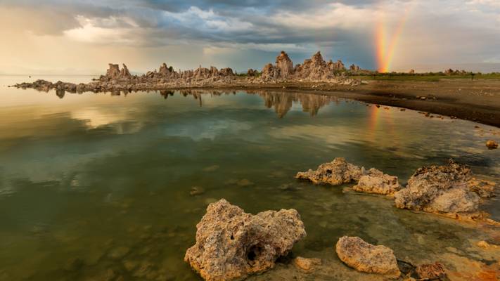 Laughter is the sun that drives winter from the human face…