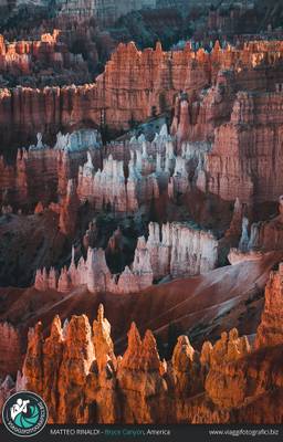 Le particolari guglie (hoodoos) del Bryce Canyon